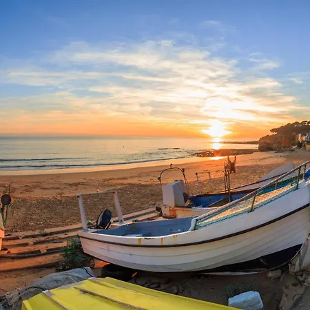 Alfamar Ines *